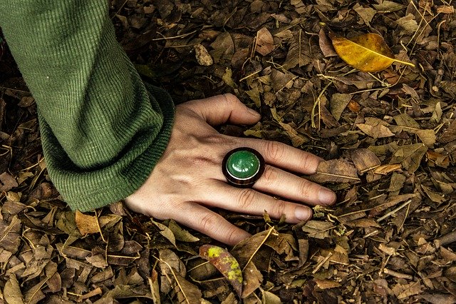 Bezpłatne pobieranie Floor Hand Nature - bezpłatne zdjęcie lub obraz do edycji za pomocą internetowego edytora obrazów GIMP