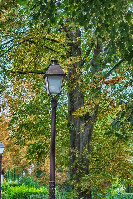 Free download Floor Lamp Tree Allee -  free photo or picture to be edited with GIMP online image editor