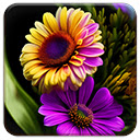 Floral Fantasy  screen for extension Chrome web store in OffiDocs Chromium
