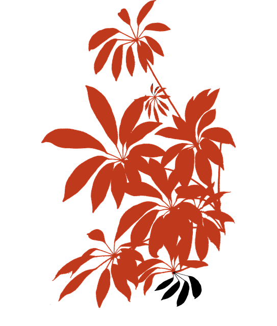 Free download Flora Ornamental Plant Apartment -  free illustration to be edited with GIMP free online image editor