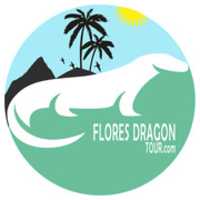 Free download flores-dragon-tour-logo free photo or picture to be edited with GIMP online image editor