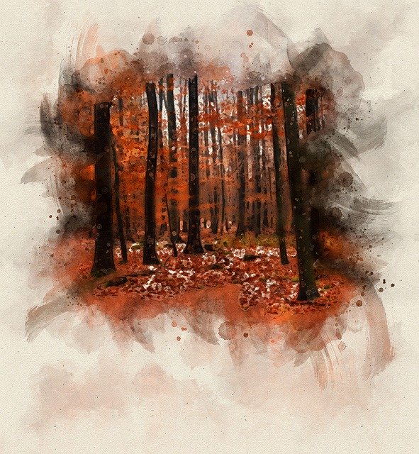 Free download Florest Nature Wildlife -  free illustration to be edited with GIMP free online image editor