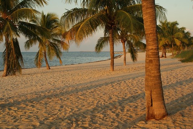 Kostenloser Download Florida Keys Key West - kostenloses Foto oder Bild zur Bearbeitung mit GIMP Online-Bildbearbeitung
