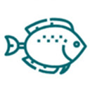 Floun  screen for extension Chrome web store in OffiDocs Chromium