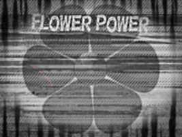 Free download flower1PCiEA free photo or picture to be edited with GIMP online image editor