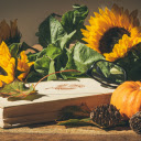 Flower and fruitbook  screen for extension Chrome web store in OffiDocs Chromium