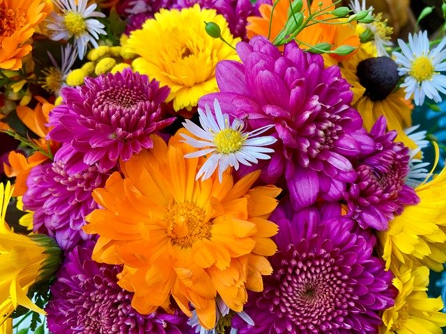 Free download Flower Arrangement Colorful Still -  free photo or picture to be edited with GIMP online image editor