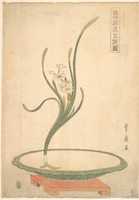 Free download Flower Arrangement of Suisen (Narcissus) in a Flat Green Dish free photo or picture to be edited with GIMP online image editor