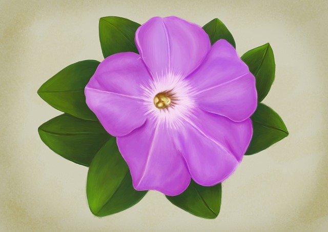 Free download Flower Beach Moonflower Purple -  free illustration to be edited with GIMP free online image editor