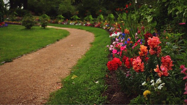 Free download Flower Bed Away Path -  free photo or picture to be edited with GIMP online image editor