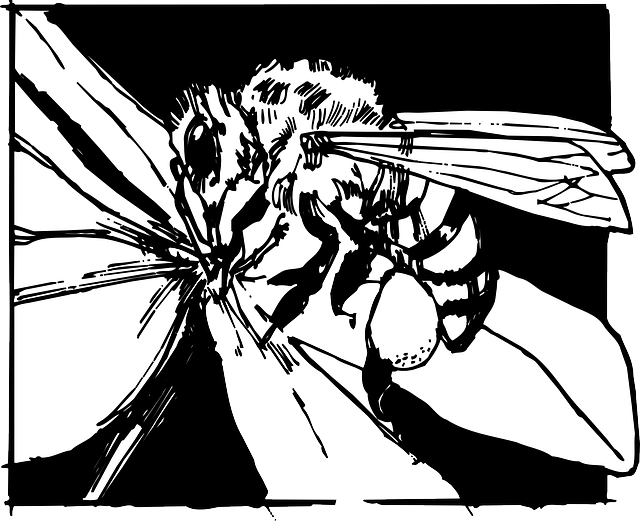 Free download Flower Bee Insect - Free vector graphic on Pixabay free illustration to be edited with GIMP free online image editor