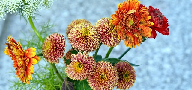 김프 무료 온라인 이미지 편집기로 편집할 수 있는 꽃다발 꽃 꽃잎 무료 사진을 무료로 다운로드하세요.
