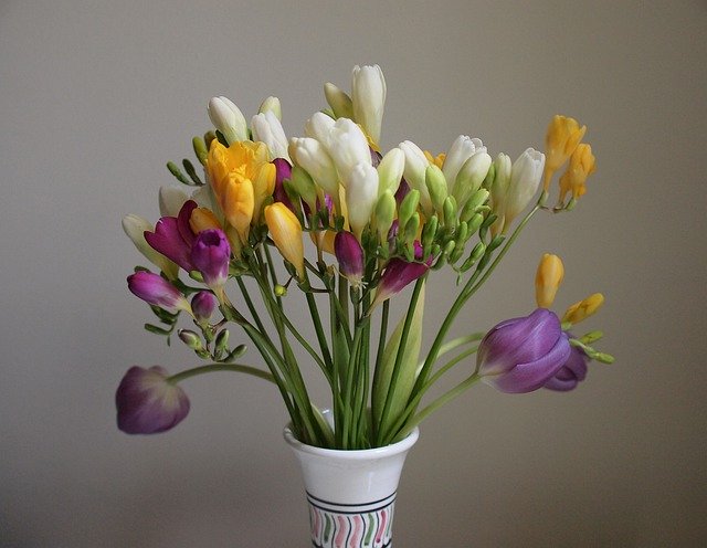 Download gratuito Flower Bouquet Still Life - foto o immagine gratuita da modificare con l'editor di immagini online di GIMP