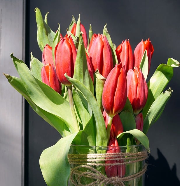 Free download flower bunch of flowers tulips free picture to be edited with GIMP free online image editor