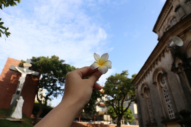 Unduh gratis Flower Church The Garden - foto atau gambar gratis untuk diedit dengan editor gambar online GIMP