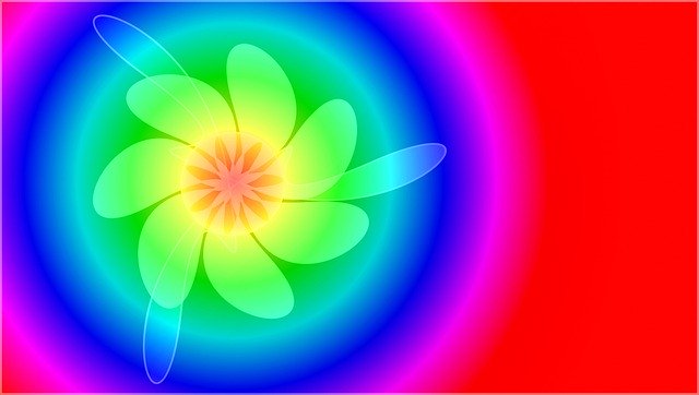 Free download Flower Colorful Natural -  free illustration to be edited with GIMP free online image editor