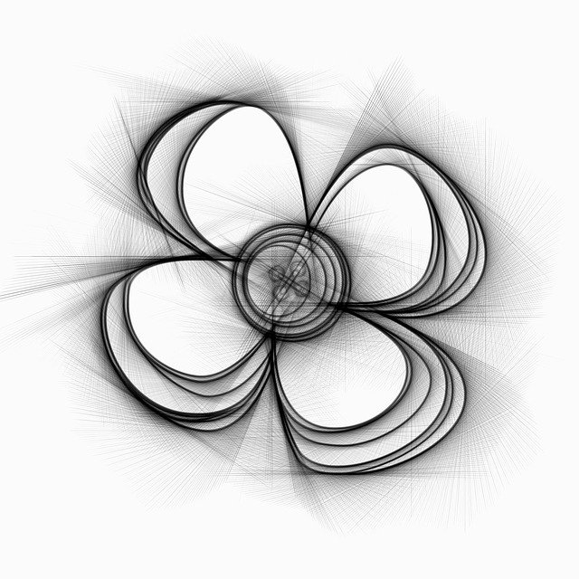 Download gratuito Flower Drawing Pencil - illustrazione gratuita da modificare con l'editor di immagini online gratuito di GIMP