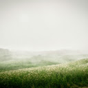 Flower Field and Dew  screen for extension Chrome web store in OffiDocs Chromium