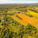 flower fields and forests  screen for extension Chrome web store in OffiDocs Chromium