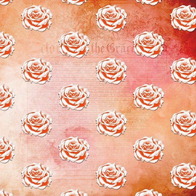 Free download Flower Floral Rose -  free illustration to be edited with GIMP free online image editor