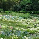 flower garden wallpaper  screen for extension Chrome web store in OffiDocs Chromium