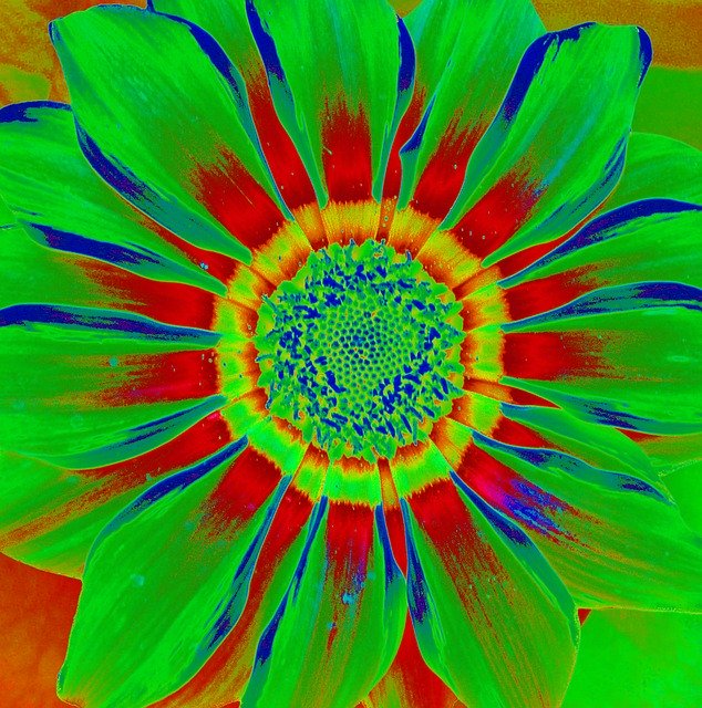 Free download Flower Graphic Bright -  free illustration to be edited with GIMP free online image editor