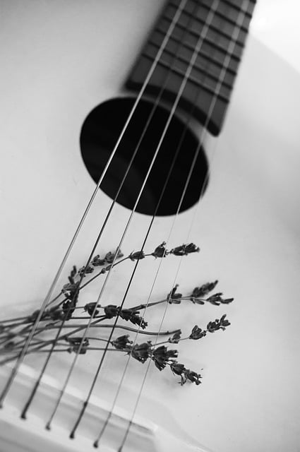 Free download flower guitar music sound mood free picture to be edited with GIMP free online image editor