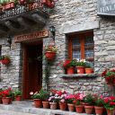 מסך בית פרחים עבור חנות האינטרנט של ההרחבה Chrome ב-OffiDocs Chromium