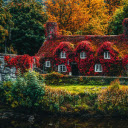 Flower house and bridge  screen for extension Chrome web store in OffiDocs Chromium