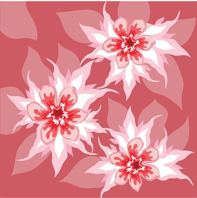Unduh gratis Flower Leaf Nature - foto atau gambar gratis untuk diedit dengan editor gambar online GIMP