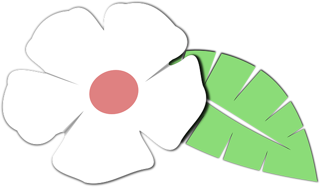 Free download Flower Leaf Plant - Free vector graphic on Pixabay free illustration to be edited with GIMP free online image editor