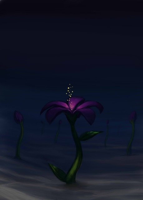 Free download Flower Mar Light -  free illustration to be edited with GIMP free online image editor
