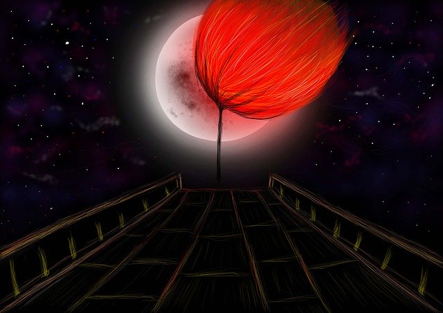 Free download Flower Moon Flowers -  free illustration to be edited with GIMP free online image editor