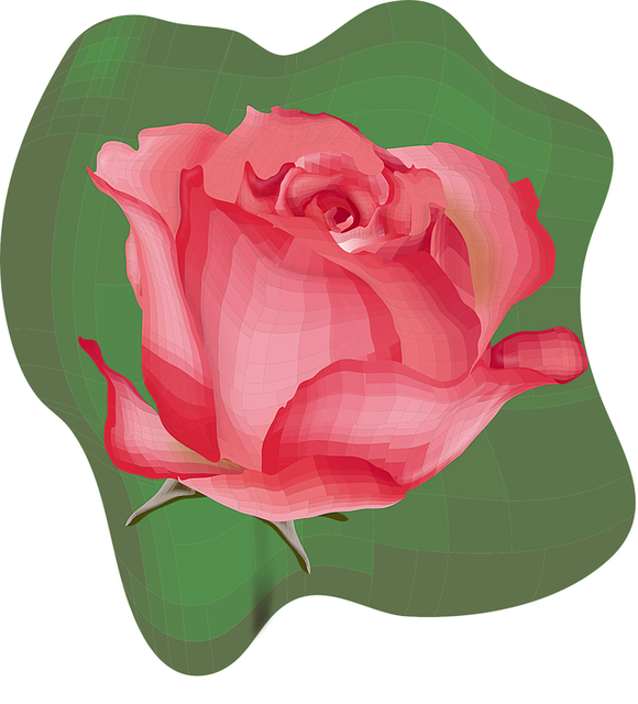 Kostenloser Download Blume Natur Pflanze - Kostenlose Vektorgrafik auf Pixabay Kostenlose Illustration zur Bearbeitung mit GIMP Kostenloser Online-Bildeditor