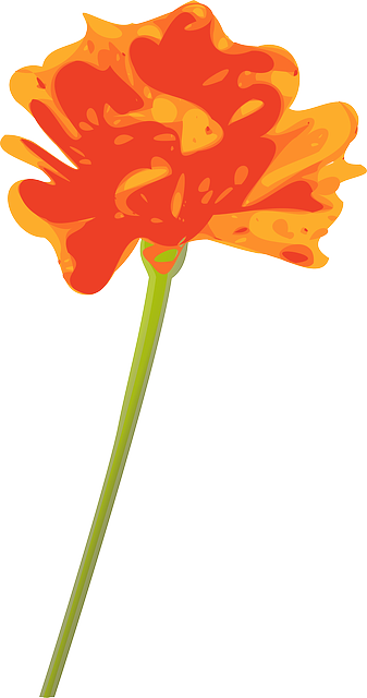 Free download Flower Orange Single - Free vector graphic on Pixabay free illustration to be edited with GIMP free online image editor