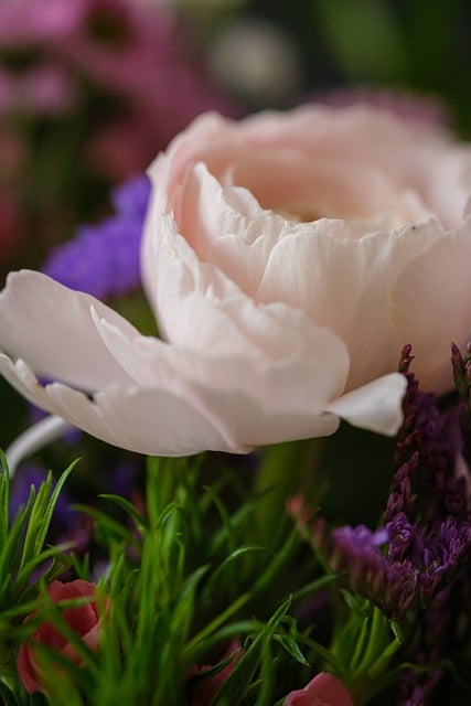 Free download flower petals buttercup bouquet free picture to be edited with GIMP free online image editor