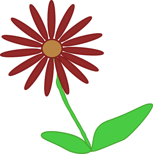 Free download Flower Plant Nature - Free vector graphic on Pixabay free illustration to be edited with GIMP free online image editor