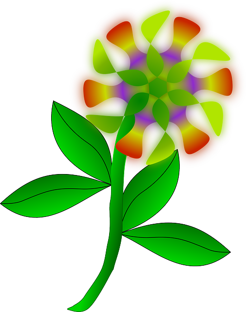 Free download Flower Plant Petals - Free vector graphic on Pixabay free illustration to be edited with GIMP free online image editor