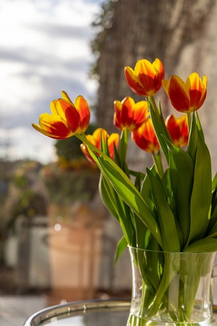 Kostenloser Download Blume Pflanze Vase Blumenstrauß Sonne Kostenloses Bild, das mit dem kostenlosen Online-Bildeditor GIMP bearbeitet werden kann