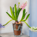 Flower pot and three flower branches  screen for extension Chrome web store in OffiDocs Chromium