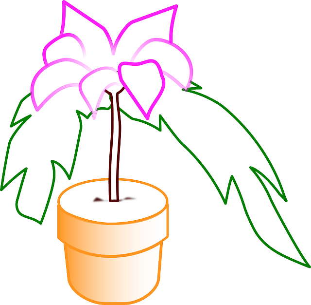 免费下载 花盆 盆栽植物 花 - 免费矢量图形Pixabay 免费插图使用GIMP 免费在线图像编辑器进行编辑