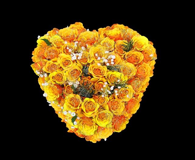 Free download flower roses blossoms heart yellow free picture to be edited with GIMP free online image editor