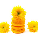 Flowers and cake  screen for extension Chrome web store in OffiDocs Chromium