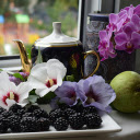 Flowers and Fruits  screen for extension Chrome web store in OffiDocs Chromium