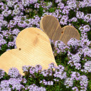 Flowers and hearts  screen for extension Chrome web store in OffiDocs Chromium