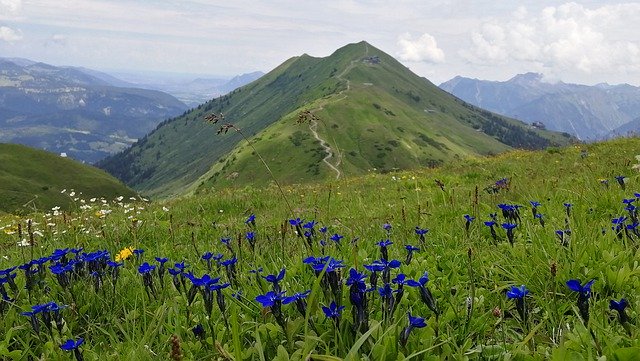 Free download Flowers Austria Mountains -  free photo or picture to be edited with GIMP online image editor