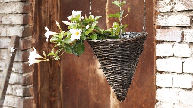 Безкоштовно завантажте Flowers Basket Summer - безкоштовну фотографію чи зображення для редагування за допомогою онлайн-редактора зображень GIMP