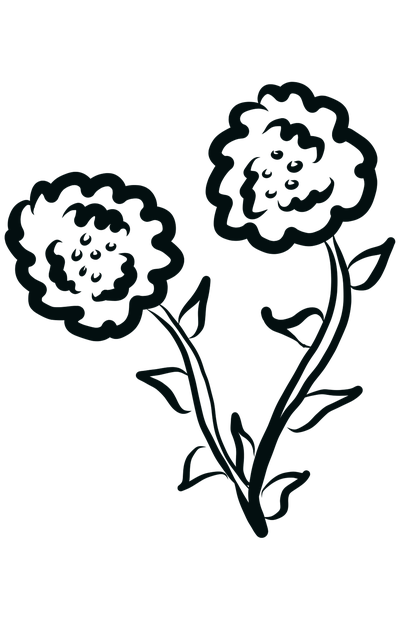 Template Photo Flowers Black And White Drawing for OffiDocs