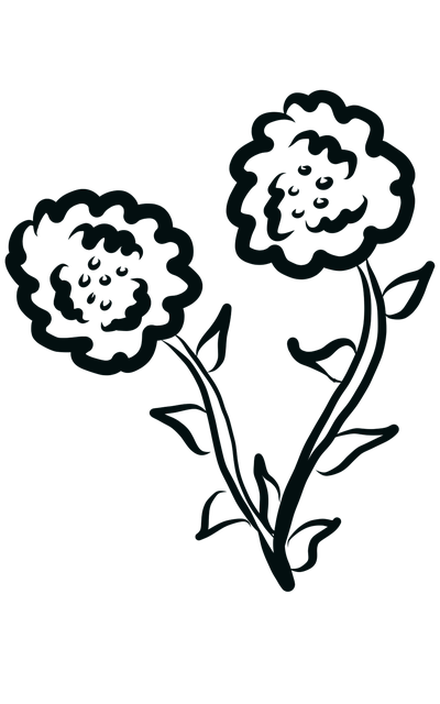 Free download Flowers Black And White Drawing free illustration to be edited with GIMP online image editor