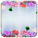 Free picture Flowers Bloom -  to be edited by GIMP free image editor by OffiDocs
